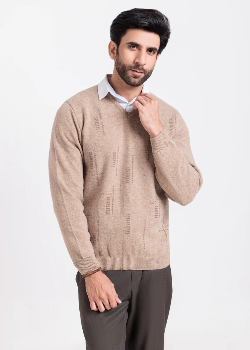 Mashroom-V-Neck Full Sleeves Sweater (519-14)